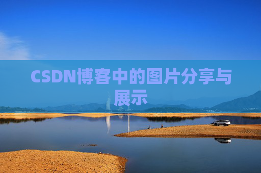 CSDN博客中的图片分享与展示